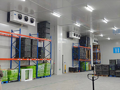 Pitaya Cold Storage Warehouse