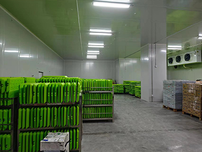 Pear Cold Storage Warehouse