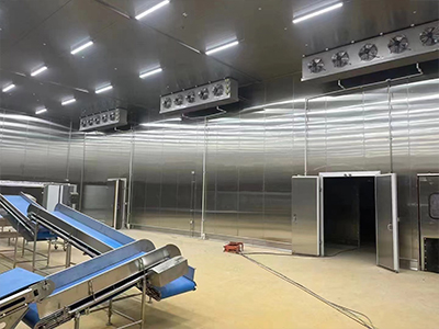 Pork Slaughterhouse Cold Storage Solution & Construction in Hubei