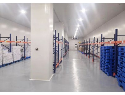 Shenyang Sansheng Pharmaceutical 3000 square meters low temperature medical flow cold storage project插图1