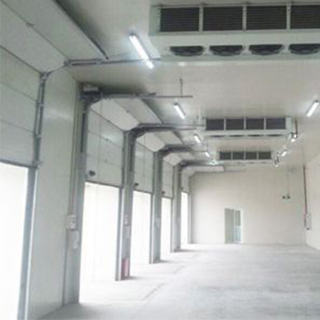 Cold storage electric door