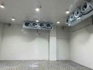 Is assembled cold storage a modular cold storage?