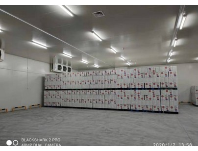 Anhui Qiaqia Co., Ltd. 49500m³ food raw material processing cold storage project construction plany插图1