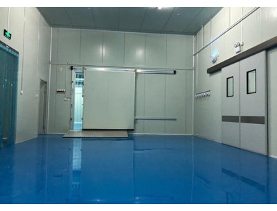Green Leaf Pharmaceuticals -20℃ Pharmaceutical Explosion-proof Freezer Design and Installation Plan插图