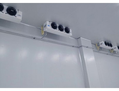 Green Leaf Pharmaceuticals -20℃ Pharmaceutical Explosion-proof Freezer Design and Installation Plan插图1