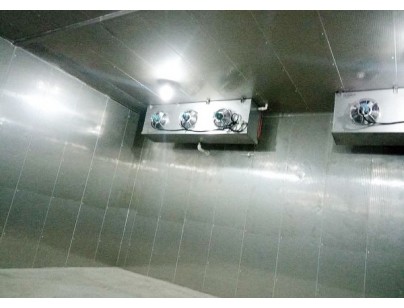 Wuhan Tianma Microelectronics Components Explosion-proof Cold Storage Project Construction Plan插图1