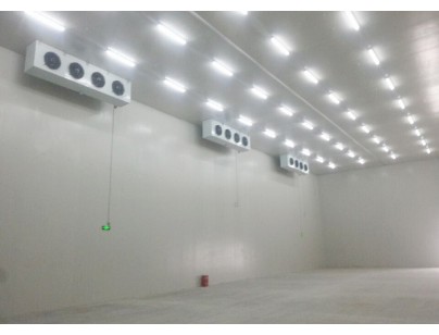 AUO (Xiamen) Low-temperature Electronic Explosion-proof Cold Storage Project Construction Plan插图