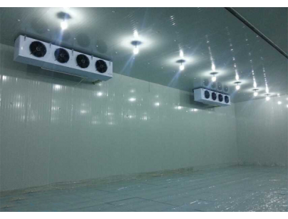 Lanzhou Zhenglin Agricultural Reclamation Food 2600m³ Dried Fruit Preservation Cold Storage Project Installation Plan插图1