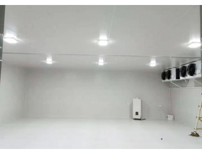 Shanghai Jiuzhoutongda 110703 cubic pharmaceutical cold storage construction project插图1