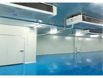 Zhangjiagang Flavor Explosion-proof Cold Storage Low-temperature Refrigeration Room Project Construction Plan插图1