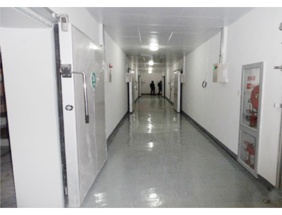 Shanghai Heyu Trade 45000m³ Large Food Cold Storage Project Construction Plan插图1