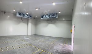 Central kitchen cold storage design and construction plan and cold storage material configuration插图