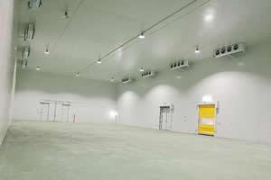 Build an Air Conditioned Cold Storage Warehouse插图