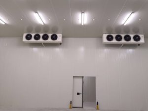 How to convert an ordinary warehouse into a cold storage for medicines?插图