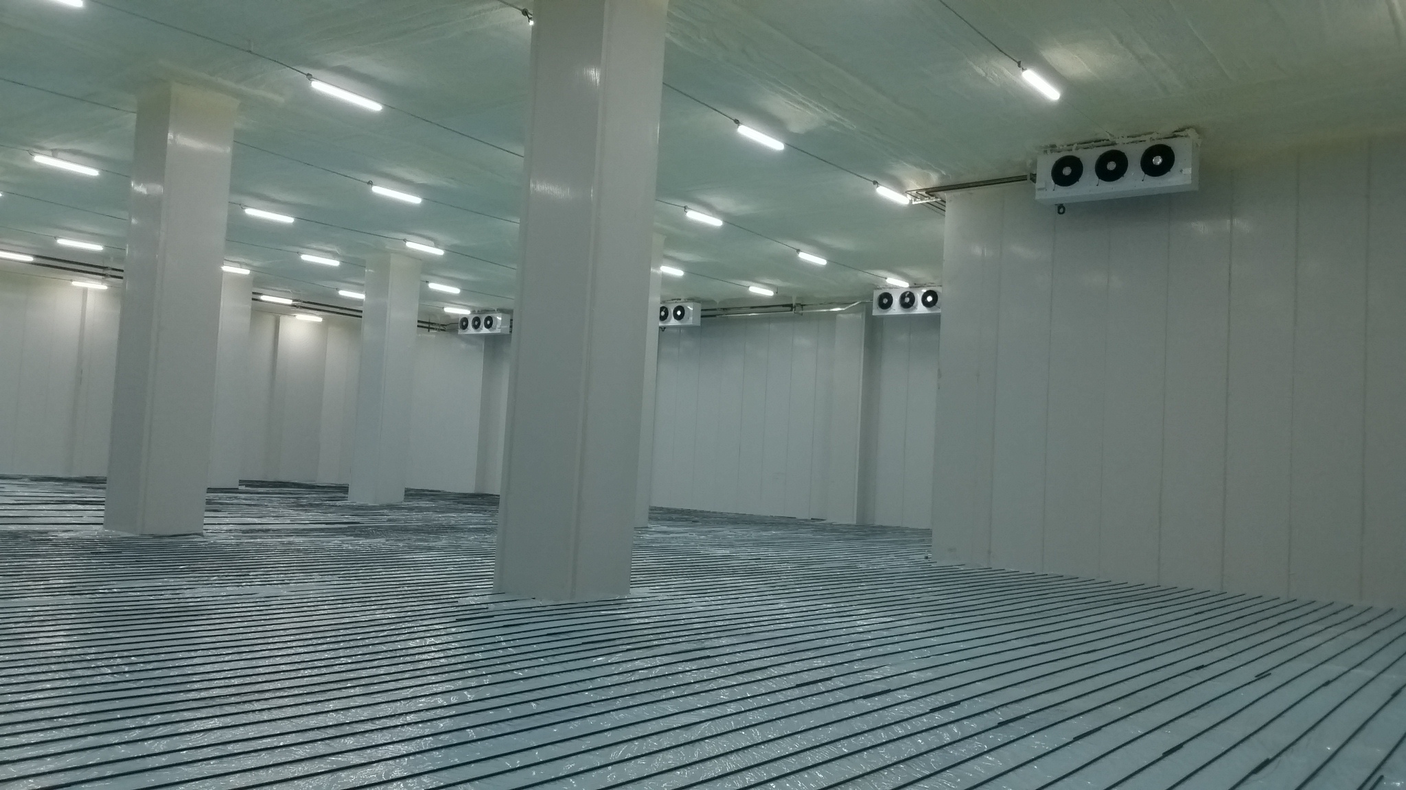 Cold storage food elimination process插图