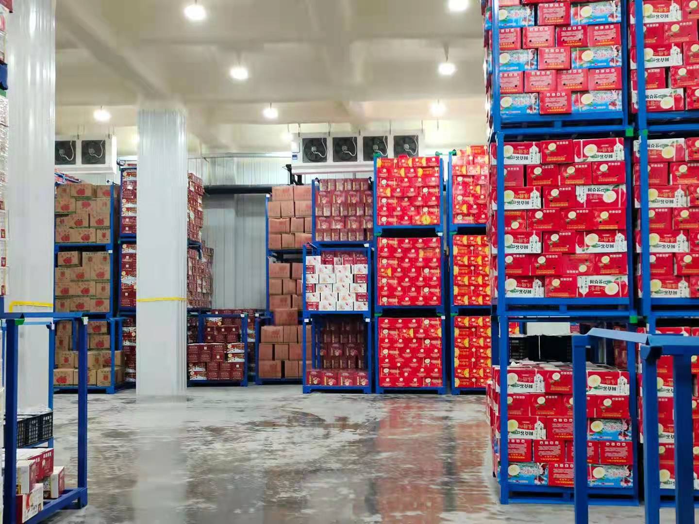 What are the requirements for the operation period of fruit gas-conditioned freshness storage?插图