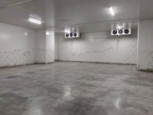 What are the standard requirements for serum cold storage construction插图
