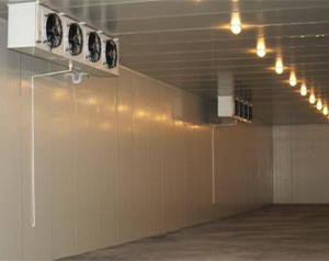 What material is good for food cold storage flooring?插图