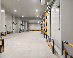 Optimal storage temperature for ginseng cold storage插图