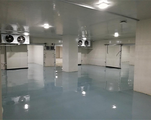 Where is the ultra-low temperature cold storage generally built?插图