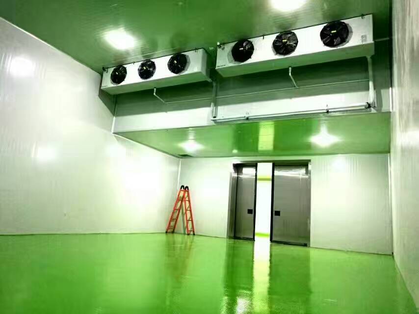 What are the storage requirements for fresh meat cold storage?插图