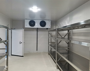 Temperature and humidity control and adjustment technology of logistics cold storage插图