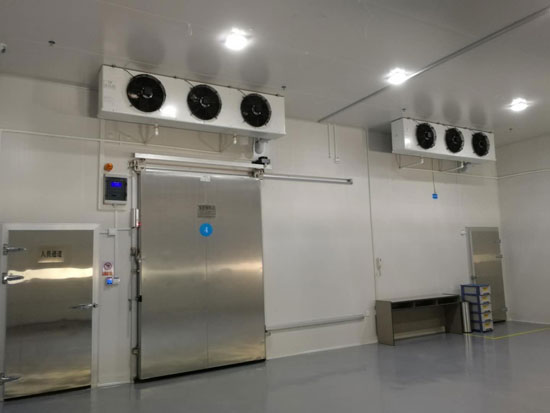 What are the factors that affect the cost of cold storage?插图