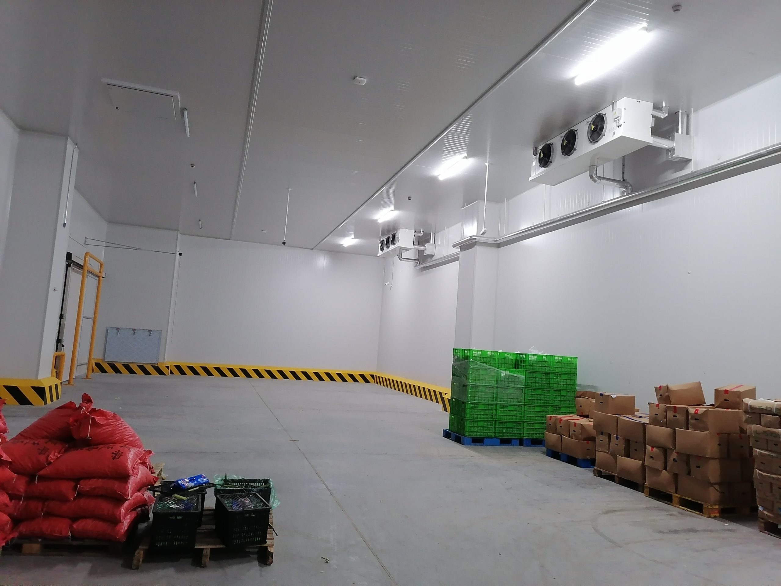 Citrus cold storage preservation temperature, citrus cold storage storage method introduction插图