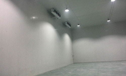 When building a cold storage, do you choose color steel or stainless steel for the storage board?