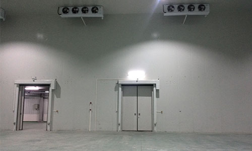  Construction characteristics and cost of cold storage for fruits and vegetables