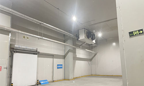 Construction of cold storage for preserved meat: analysis of key features of energy saving and heat preservation