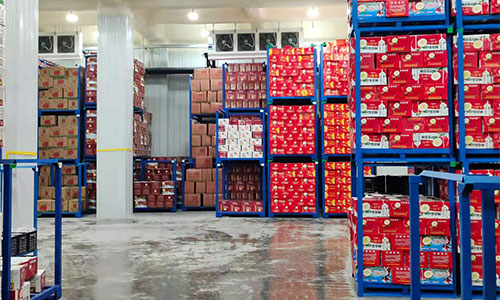 How to choose the compressor type of cold storage according to the scale and temperature demand of cold storage?