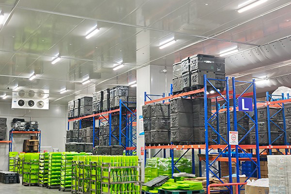 Why Are the Requirements for Medical Cold Chain... Why Are the Requirements for Medical Cold Chain...