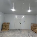 Jamaica 3,500-Ton Cold Storage Project | Frozen Food Cold Chain Warehouse
