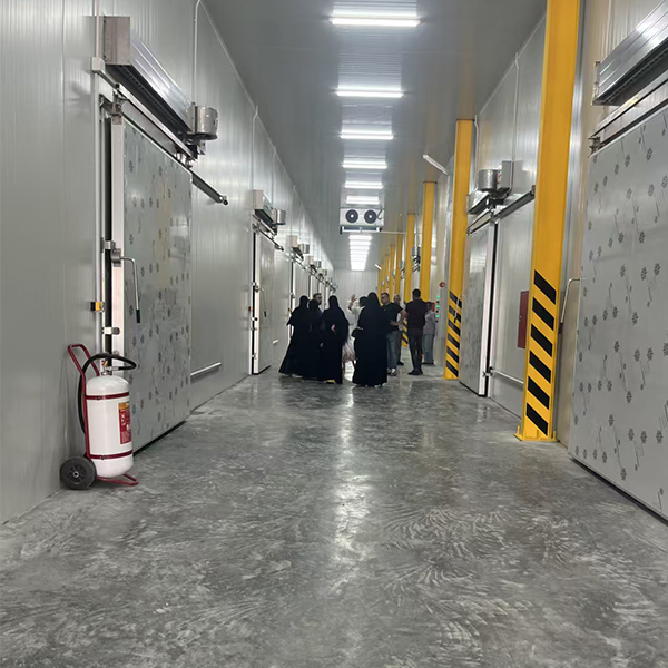 Dubai 5,000-Ton Agricultural Produce Cold Chain...