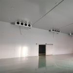 Philippines 2,000 m³ Coconut Cold Storage Project | Fruit Cold Room
