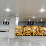 What are the preservation techniques for vegetable cold storage?
