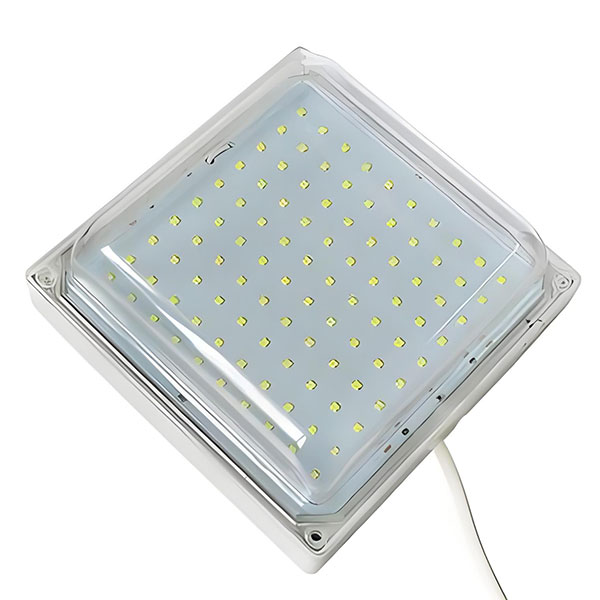 Cold Storage LED Light Cold Storage LED Light