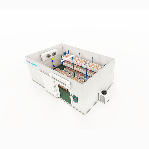 Blast Freezing Cold Storage Room Solution Blast Freezing Cold Storage Room Solution