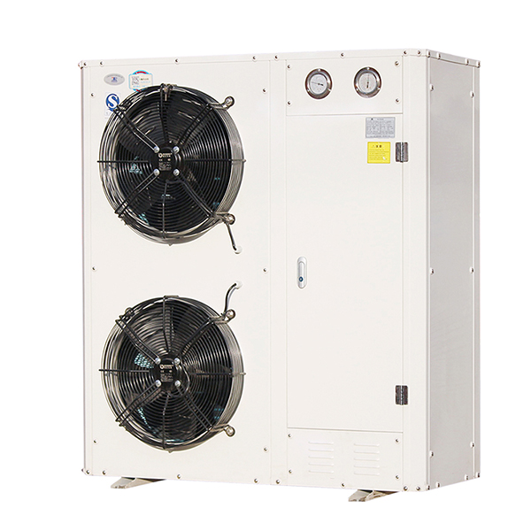 Air-Cooled Monoblock Refrigeration Unit for Col...